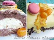 Bûche mousse chocolat, insert passion croustillant pistache