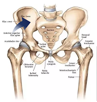 Poussée pelvienne approfondie