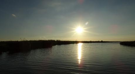 a  l'école de la poésie on n'apprend pas on se bat