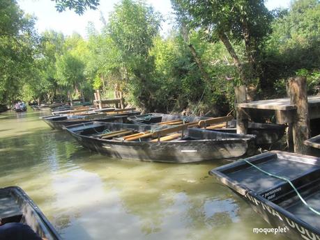 La France - Balade dans le Marais Poitevin.....