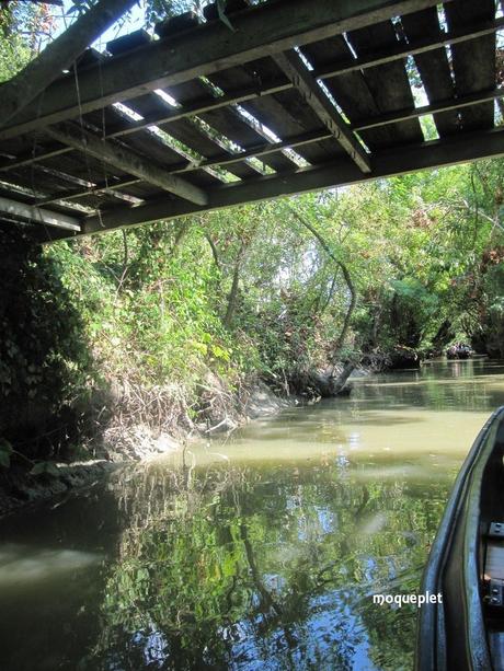 La France - Balade dans le Marais Poitevin.....