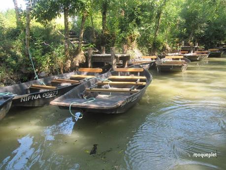 La France - Balade dans le Marais Poitevin.....