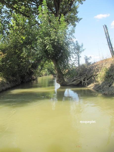 La France - Balade dans le Marais Poitevin.....