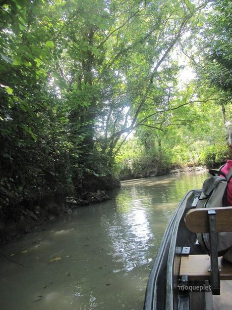 La France - Balade dans le Marais Poitevin.....