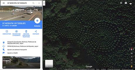 Des étonnants « crop circles » découverts dans une forêt japonaise