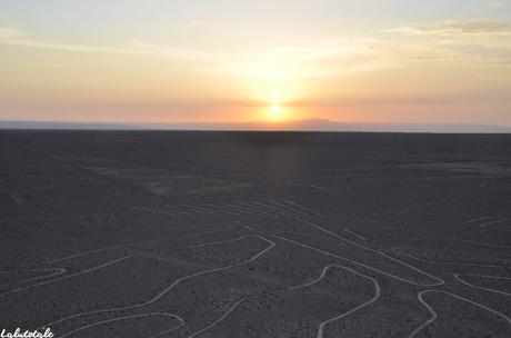 ( PÉROU Jour 2 – Suite ) Pisco, haricots, buggy dans le désert d’Ica et géoglyphes de Nazca.