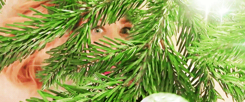christmas tree idk GIF