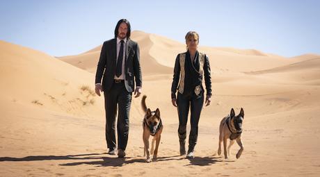 Les premières images de John Wick 3 sont arrivées