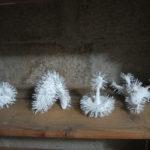 Vincent Crochard, à La Source Vincent Crochard, à La Source