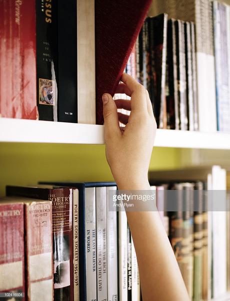 Noël Non Traditionnel pour Debra & Hansel