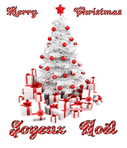 Rôti de poulet farci aux pistaches, figues et Porto - Noël 2018