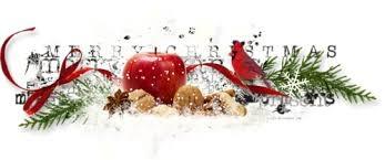 Rôti de poulet farci aux pistaches, figues et Porto - Noël 2018 Rôti de poulet farci aux pistaches, figues et Porto - Noël 2018