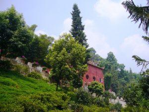 Shilin – La forêt de pierres (120 KM de Kunming dans le Yunnan)