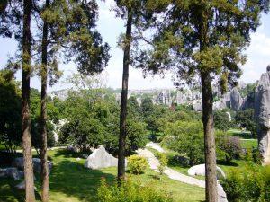 Shilin – La forêt de pierres (120 KM de Kunming dans le Yunnan)