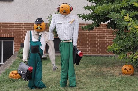 Divers - quelques charmantes citrouilles