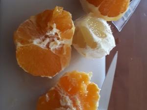 Jus de Citron, Oranges et Fleur d'Oranger Cliquer sur les photographies pour les agrandir