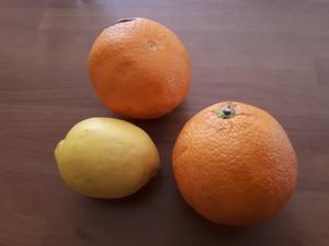 Jus de Citron, Oranges et Fleur d'Oranger Cliquer sur les photographies pour les agrandir