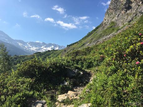 TOUR DU BEAUFORTAIN : Roselette - Croix du Bonhomme (J3)