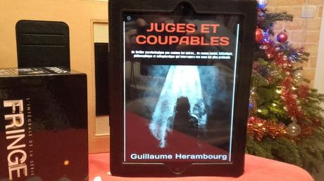 Juges et coupables (Guillaume Herambourg)