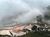 Voyage rizières YuanYang Yunnan