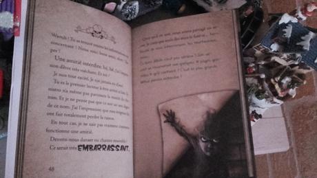 Le livre secret du Monstre (Magnus Myst)