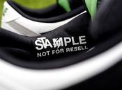 Plus détails concernant dernière Nike Dunk Pigeon Jeff Staple