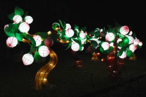 Espèces en voie d’illumination : une balade magique au Jardin des plantes