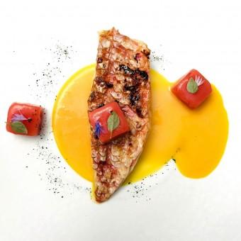 Rouget en écailles © Olivia Goldman .