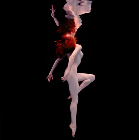 La photographie du jour