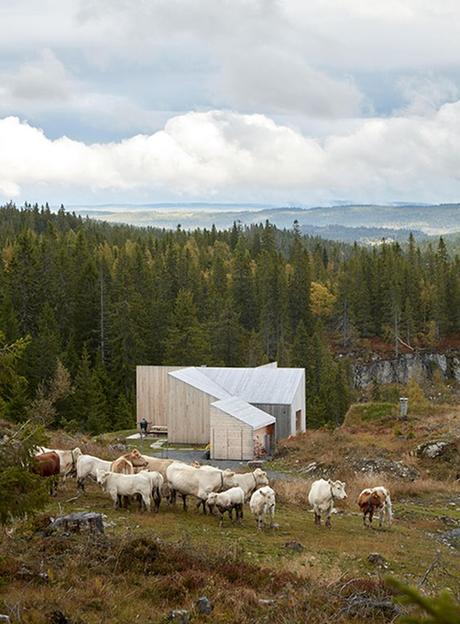 chalet design en norvège mi saison vaches troupeau montagne blog déco clem around the corner