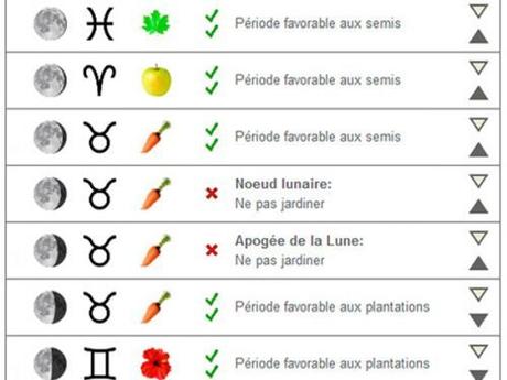 Calendrier lunaire du jardin – Janvier 2019