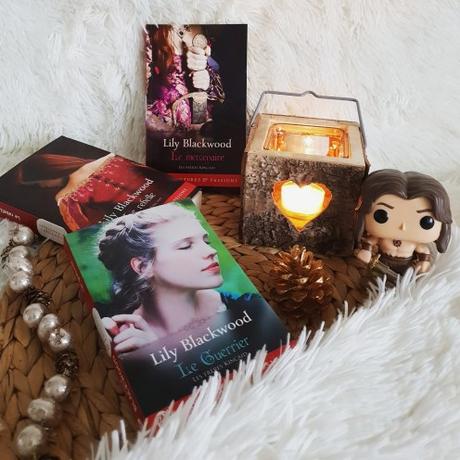 Les frères Kincaid #3 – Le guerrier alt=