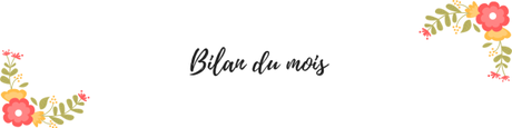BILAN DU MOIS – Décembre 2018