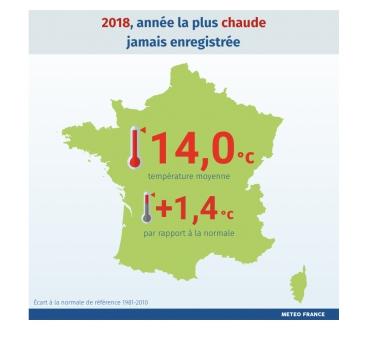 Climat : 2018, année la plus chaude jamais enregistrée en France