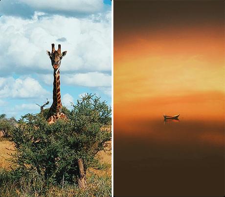 Wallpapers : 10 “Shot On iPhone” 