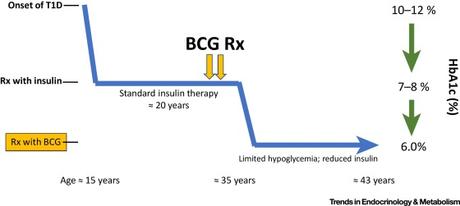 #trendsinendocrinologyandmetabolism #DiabèteDeType1 #BCG Thérapie BCG du Diabète de Type 1 : Rétablissement d’un Équilibre Immunitaire et Métabolique