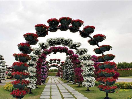 Pays Etranger - Le jardin de Milagro...DuBaî...2