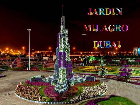 Pays Etranger - Le jardin de Milagro...DuBaî...2