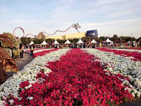 Pays Etranger - Le jardin de Milagro...DuBaî...2