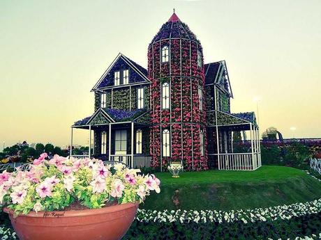 Pays Etranger - Le jardin de Milagro...DuBaî...2