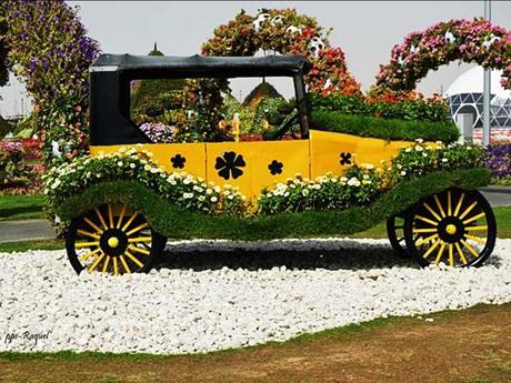 Pays Etranger - Le jardin de Milagro...DuBaî...2