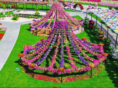 Pays Etranger - Le jardin de Milagro...DuBaî...2