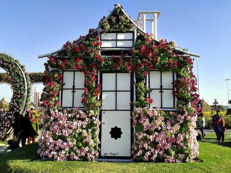 Pays Etranger - Le jardin de Milagro...DuBaî...2