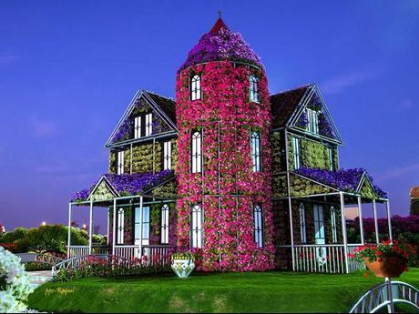 Pays Etranger - Le jardin de Milagro...DuBaî...2