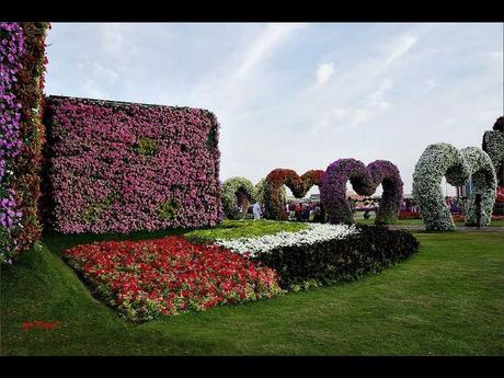 Pays Etranger - Le jardin de Milagro...DuBaî...2