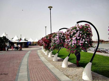 Pays Etranger - Le jardin de Milagro...DuBaî...2