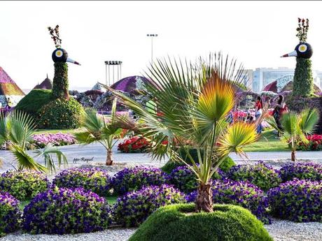 Pays Etranger - Le jardin de Milagro...DuBaî...2