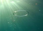 Comment plus s'identifier