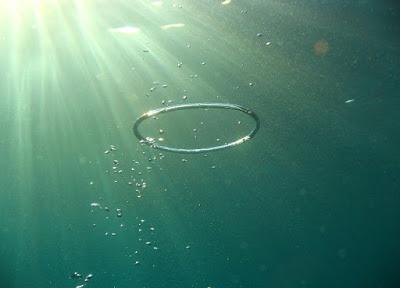 Comment ne plus s'identifier ?