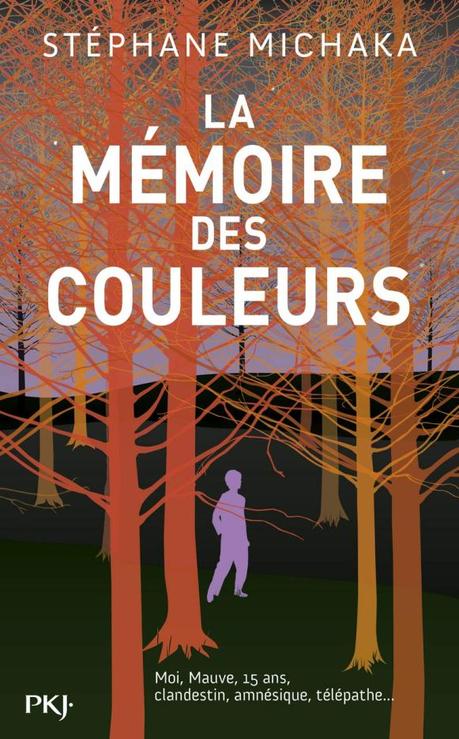 La mémoire des couleurs de Stéphane Michaka